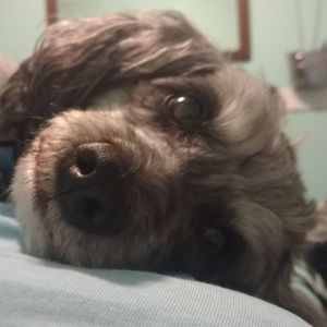 Meet your Posher, Kaylee